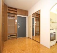 A hallway in a 2-room apartment with a wooden decor floor, a mirror, and a kitchenette.