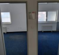 Interior of offices with blue carpet and windows with blinds.