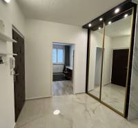 A hallway in a 3-room apartment with a polished floor and a built-in wardrobe.