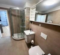 Bathroom in a 2-room apartment with a shower, sink, and mirror.