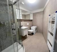 A bathroom in a 2-room apartment with a shower, washing machine, and ladder radiator.