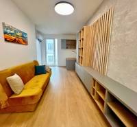 Living room in a two-room apartment with a sofa and wood-patterned flooring.