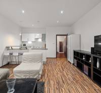 Living room with wood-patterned flooring, a television, and a kitchenette in a studio apartment.