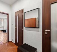 Entrance hall, mirror, door, and floor with wooden decor in a studio apartment.