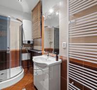 Bathroom with a corner shower, light-colored sink, and ladder radiator in a studio apartment.