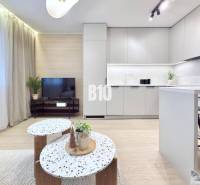 Living room with a light kitchen unit, sofa, and wooden decor flooring in a 3-room apartment.