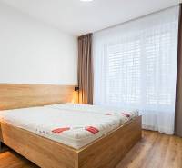 Bedroom in a 2-room apartment with a bed and a wooden decor floor.