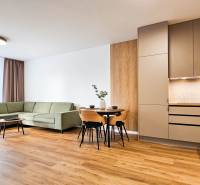 Living room in a two-room apartment with a kitchenette and a wooden decor floor.