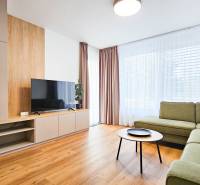 Living room in a 2-room apartment with a wooden decor floor, sofa, and television.
