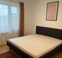 Bedroom on Brečtanová Street in a 2-room apartment with a bed and a painting.