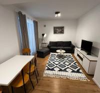 Living room with a textile carpet, black sofa, dining table; 2-room apartment on Brečtanová Street.