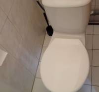 Toilet with tiles and cladding, in the interior of warehouses and halls.