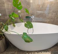 In the bathroom of a 4-room apartment with a plant and tiles in a gray shade.