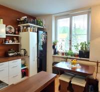 A kitchen in a 2-room apartment with a stove, refrigerator, and seating. Lots of natural light.