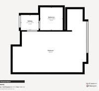 Layout of a studio apartment with an entrance hallway, bathroom, and main living area.