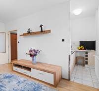Studio apartment with wood-patterned flooring, decorative shelf, and kitchenette.