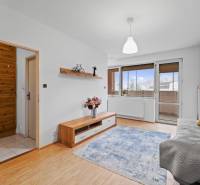 A studio apartment with a wooden decor floor, a gray sofa, and a light carpet.