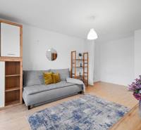 Studio apartment with a sofa, mirror, bookshelf, and wooden decor flooring.