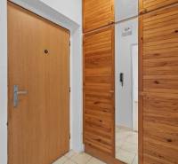 A studio apartment with wooden doors and cabinets, decorated with a wooden decor.