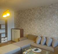 Living room with a stone pattern on the wall, wooden decor flooring, 2-room apartment.