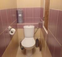 A toilet in a 2-room apartment with purple-yellow tiles and toilet paper.