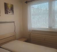 A bedroom in a 2-room apartment, with pictures of nature and a large window with white curtains.