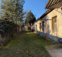 The garden of a family house on Bratislavská Street in Svätý Jur with a lawn and a tree.