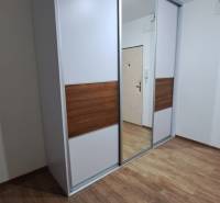 Built-in wardrobe with sliding doors and a mirror in a 2-room apartment.
