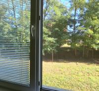 A view from a 2-room apartment to greenery with a view of trees.