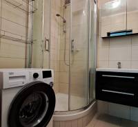 Bathroom in a 2-room apartment with a shower, sink, and washing machine.