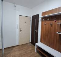 Entrance hall in a 2-room apartment with a coat rack, mirror, and security door.