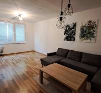 Living room in a two-room apartment with a sofa, table, and art paintings.