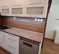 Kitchen in a 2-room apartment, wooden paneling and white cabinets with a dishwasher.