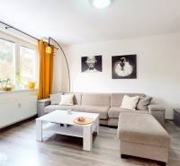 Living room in a 3-room apartment with a sofa, table, and wooden decor flooring.