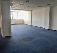 Spacious offices with blue carpet and large windows providing natural light.