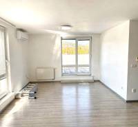 Spacious bright living area with wood-effect flooring in a 2-room apartment.