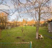 A garden with a lawn, trees, and a wooden building by a family house on Člnková Street, Košice.