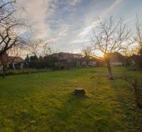 Garden in a Family House on Člnková Street in Košice, Džungľa district.