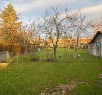 Garden and wooden structure in a family house on Člnková Street in Košice - Džungľa district.