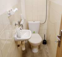 Office restroom with wood-patterned flooring and a small sink.