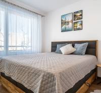 Bedroom in a two-room apartment with a large window and a floor with a wood decor.