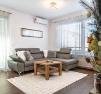 Living room in a two-room apartment with a wooden decor floor and a leather sofa.