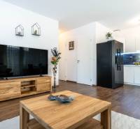 Living room with wood-patterned flooring, TV, and kitchen in a 2-room apartment.