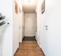 A hallway in a 2-room apartment with decorative elements and a floor with a wood decor.