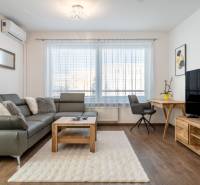 Living room in a two-room apartment with a gray sofa, TV, and wood-patterned flooring.