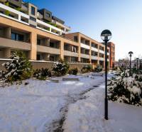Strojárenská Street, Košice - Staré Mesto district, apartment complex in a snowy garden.