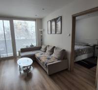 Living room with a sofa, glass table, and wooden floor decor in a two-room apartment.