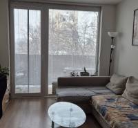 Living room in a two-room apartment with a sofa, wooden decor flooring, decorations.