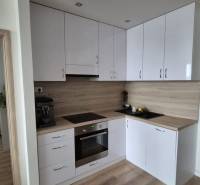 A kitchen in a 2-room apartment with a wood-patterned floor and white cabinets.
