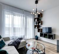 Sale One bedroom apartment, One bedroom apartment, Michala Bučiča, Bra